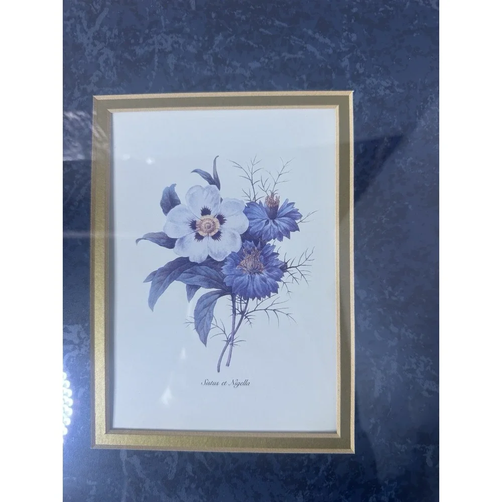 Vintage botanical Art French Gold Frames‎